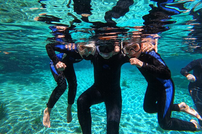 3 hours Manatee Swim Tour in Florida - Wetsuits, Heated Showers, and the little comfort wins that matter