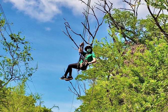 3 Zipline Adventure at Coral Crater with Optional Waikiki Shuttle - Price and What the $109 Covers (and What It Does Not)