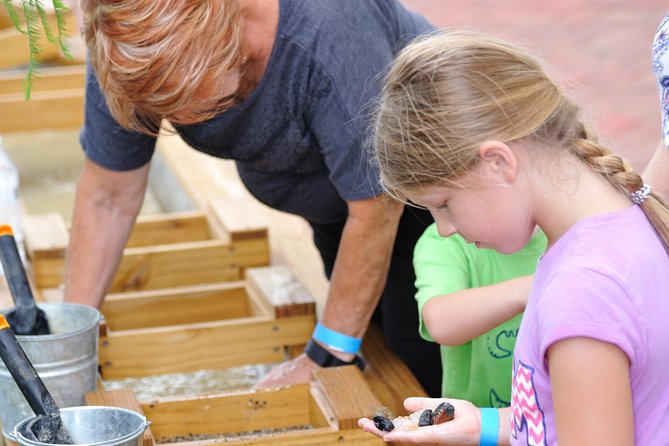 30-Minute Airboat Ride, Lunch, Gem Mining and Park Admission - Butterfly Garden: the low-stress extra that families love