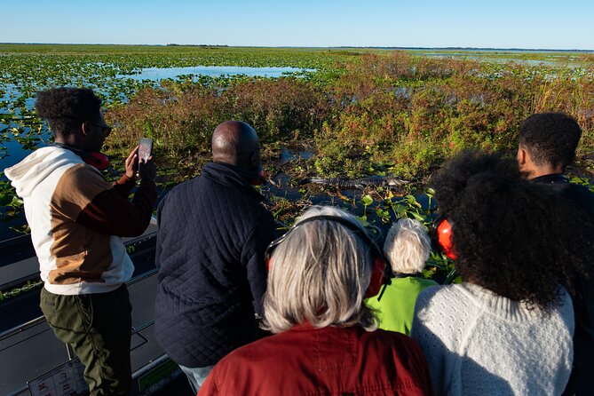30-Minute Airboat Ride near Orlando - Wetland Wildlife You Can Actually See Up Close