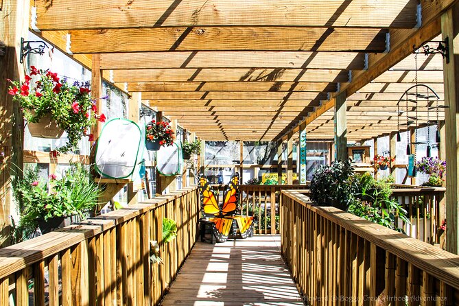 30-Minute Airboat Ride near Orlando - Food at Boggy Bottom BBQ for an Old-Florida Finish