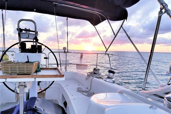 4-Hour Fort Lauderdale Sailing Charter - Why this 4-hour charter on Sailing Daffy feels special in Fort Lauderdale