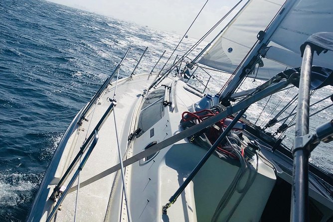 4-Hour Fort Lauderdale Sailing Charter - Food and water: how to turn bring-your-own into a stress-free lunch