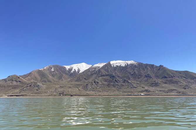 45 Minute Great Salt Lake Boat Tour - Meeting at Great Salt Lake State Park Marina, What to Expect at Start Time