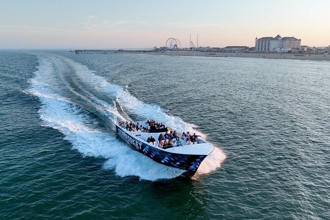 45-Minute Sea Rocket Speed Boat & Dolphin Cruise in Ocean City MD - Dolphin spotting: what you can control, and what you can’t