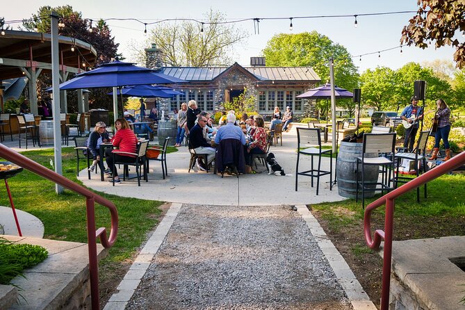 5-Hour Traverse City Wine Tour: 3 Wineries on Leelanau Peninsula - Bus comfort and the guide factor: why people keep booking again