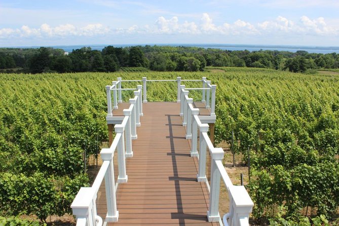 5-Hour Traverse City Wine Tour: 4 Wineries on Old Mission Peninsula - What the Day Feels Like: Timing, Waiting, and the “Not Rushed” Sweet Spot