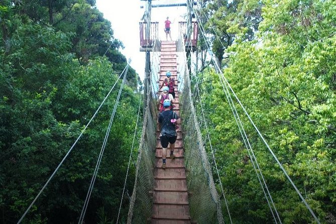 6 Dual-Zipline Mountain Adventure in Maui - Hawaii’s longest suspension bridge: the cool-down you did not know you needed
