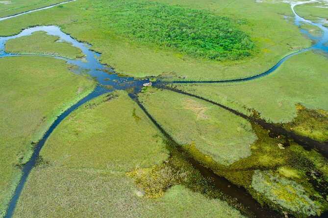 60 min. Everglades Airboat ride & pick-up ,small group +pro guide - Miami pickup and Maurice A. Ferré Park: how your Everglades day starts