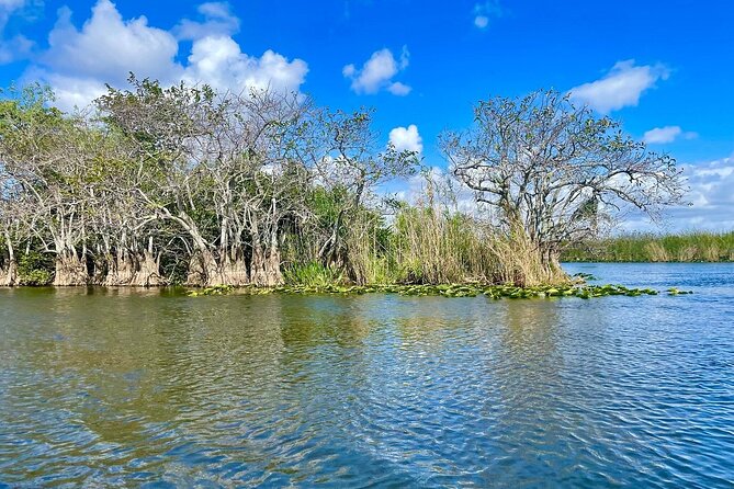 60 min. Everglades Airboat ride & pick-up ,small group +pro guide - Who should book this Everglades airboat tour from Miami