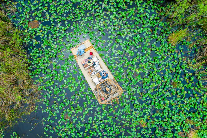 60 min. Everglades Airboat ride & pick-up ,small group +pro guide - The shared airboat ride: River of Grass, alligator odds, and photo reality