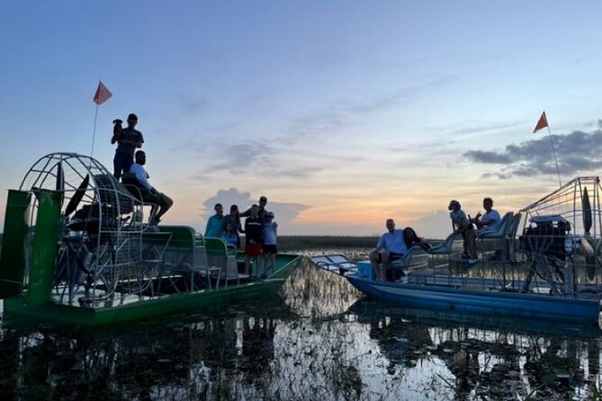 60 Minutes Small Group Everglades Airboat Ride in Miami - What Happens During the Actual Airboat Ride Through Everglades Wetlands
