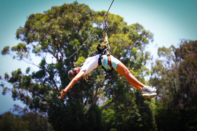7-Line Maui Zipline on the North Shore - Camp Maui and the North Shore Views You Actually Came For