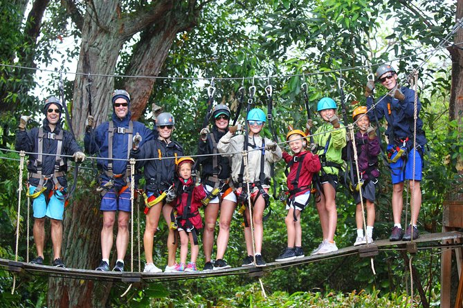 7-Line Maui Zipline on the North Shore - What You’ll Actually Do in the Air: Lines, Transfers, and a Swaying Bridge