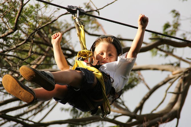 7-Line Maui Zipline on the North Shore - Ocean Views Through the Eucalyptus Canopy