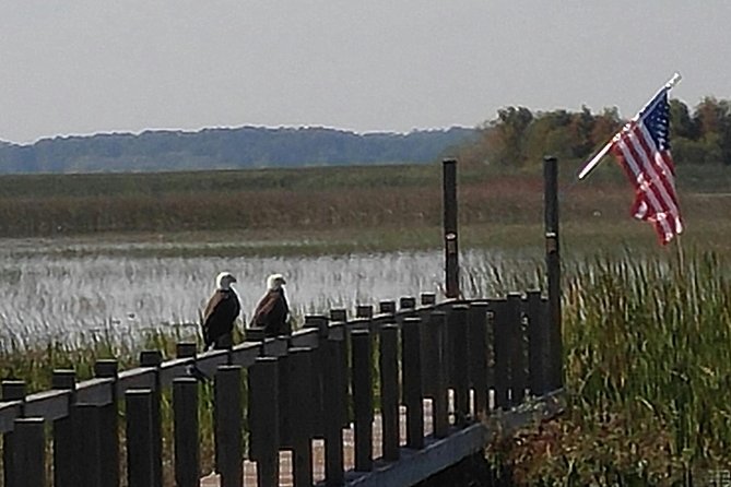 90 minute Everglades Airboat Tour near Orlando Florida - Where You Start in Kissimmee, and How That Shapes Your Day