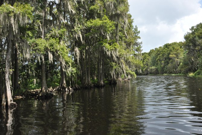 90 minute Everglades Airboat Tour near Orlando Florida - The Route: Gator Nesting Areas and How Captains Find Wildlife
