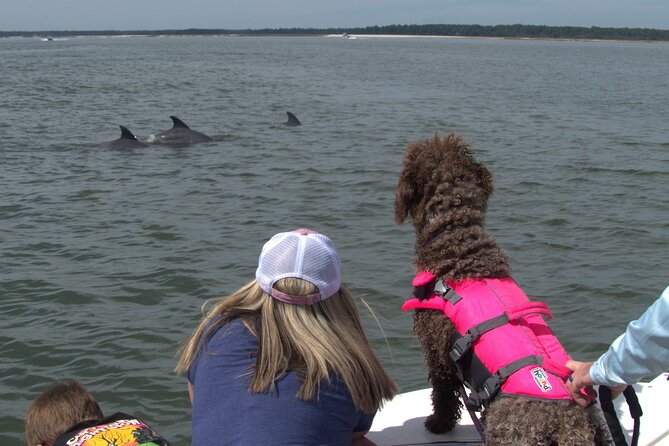90-Minute Private Dolphin Tour in Hilton Head Island - Private Small Group Power, Up to Six People