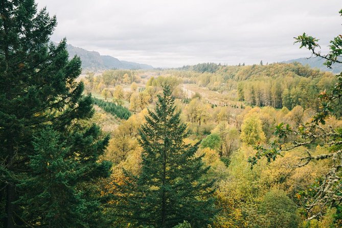 Afternoon Half-Day Multnomah Falls and Columbia River Gorge Waterfalls Tour from Portland - Multnomah Falls and Benson Bridge: the Oregon icon stop