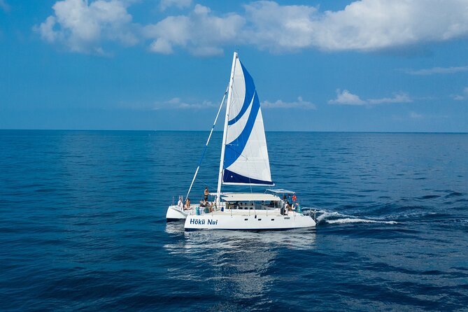 Afternoon Sail & Snorkel to the Captain Cook Monument - What You Get for Snorkeling: Masks, Fins, Noodles, and Reef-Safe Care