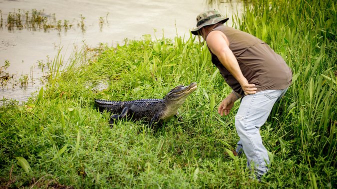 Airboat Ride with Transportation from New Orleans - Timing, Dress, and the Small Comfort Details That Matter