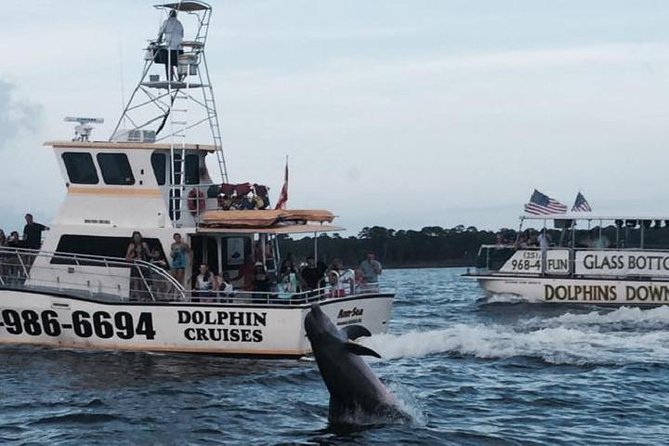 Alabama Gulf Coast Dolphin Cruise - Key things I’d plan around