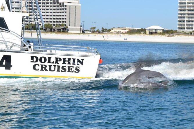 Alabama Gulf Coast Dolphin Cruise - Water battles, wake surfing, and playful moments on select departures