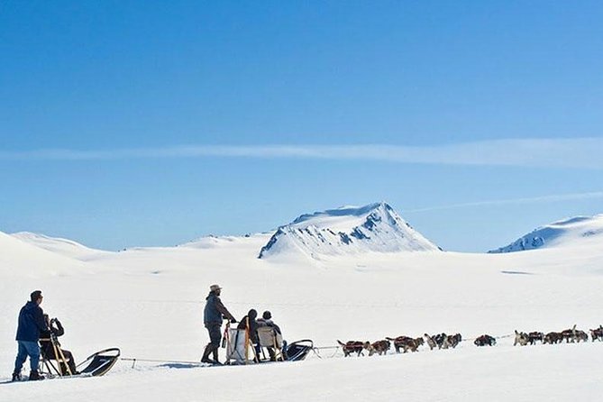Alaska Helicopter and Glacier Dogsled Tour - ANCHORAGE AREA - Helicopter safety and the human factor