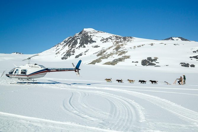 Alaska Helicopter and Glacier Dogsled Tour - ANCHORAGE AREA - Price and value: is it worth $761.91 per person?