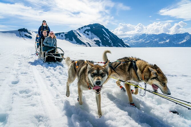 Alaska Helicopter and Glacier Dogsled Tour - ANCHORAGE AREA - Meeting at Alaska Glacier Lodge: why the timing matters