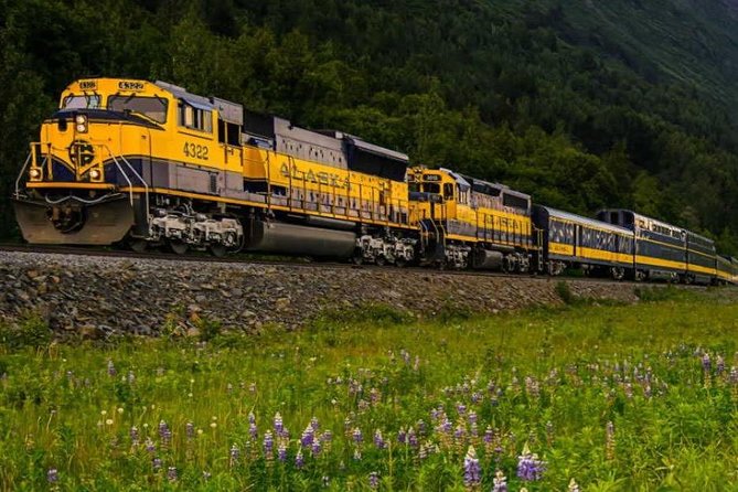 Alaska Railroad Anchorage to Seward Round-Trip Same Day Return - Seward Time: Your Port Town Break Between 11:05 and 6:00