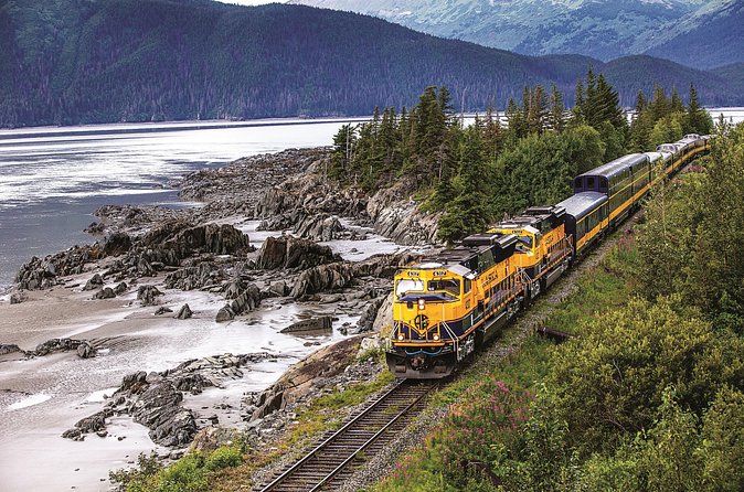 Alaska Railroad Anchorage to Seward Round-Trip Same Day Return - Optional Tours and Cruises: How to Avoid Missing Your Return