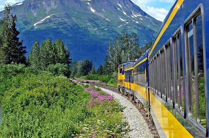 Alaska Railroad Anchorage to Seward Round-Trip Same Day Return - Onboard Dining: What You Get and What You Pay For