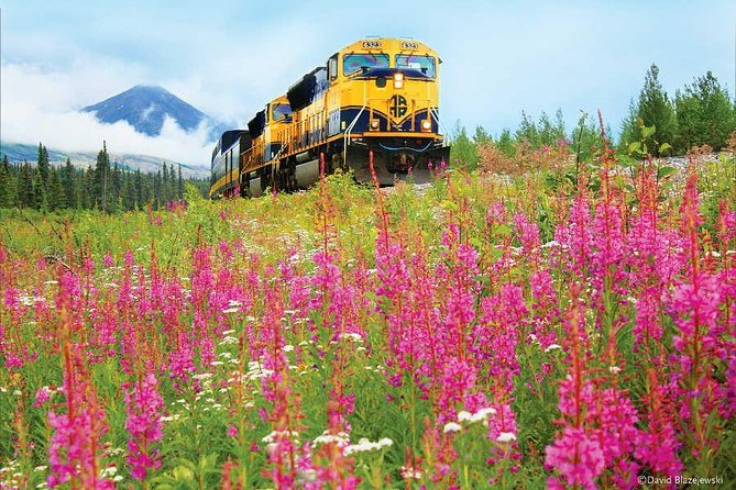 Alaska Railroad Anchorage to Seward Round-Trip Same Day Return - Booking, Timing, and What the Schedule Really Means for Your Day