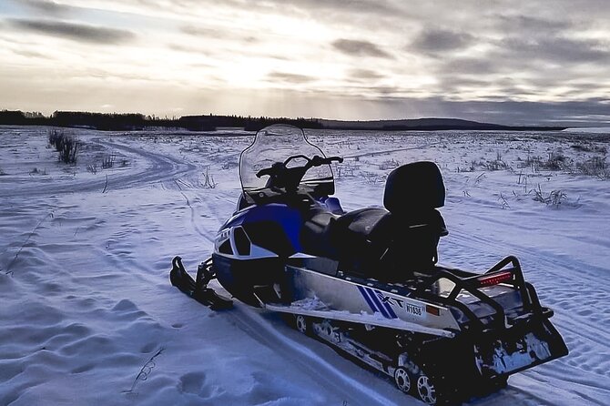 Alaska Snowmobile Adventure Tour - Stop 1: Alaska Wild Lights Before the Main Ride