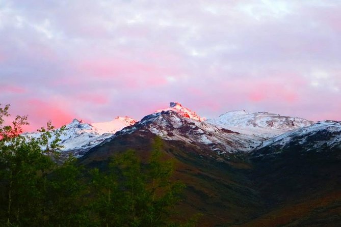 Alaskan Back Country Side by Side ATV Adventure with Meal - Value and price, why $163.25 can make sense