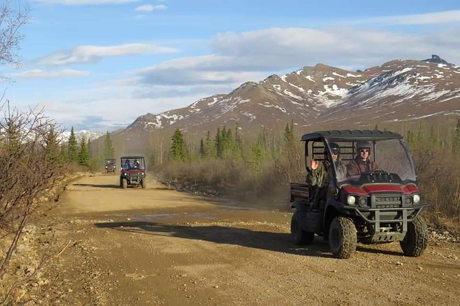 Alaskan Back Country Side by Side ATV Adventure with Meal - Who should book, and who should think twice