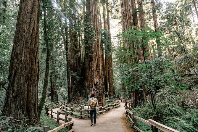 Alcatraz Tour Plus Muir Woods and Sausalito Day Trip - Price and what you really get for $159