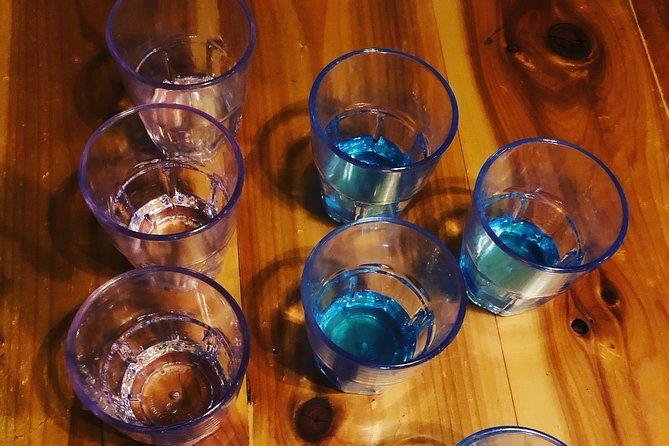 All-Inclusive Pub Crawl with Moonshine, Cocktails, and Craft Beer - Stop by stop: the Downtown Nashville honky tonk sweep
