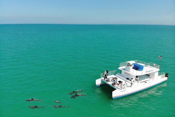 All-Inclusive Sandbar Safari with Dolphin Playground Encounter - Crew energy, safety focus, and the small touches that help