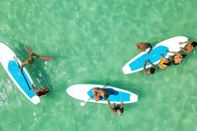 All-Inclusive Sandbar Safari with Dolphin Playground Encounter - Timing, group size, and how to avoid the common hassles