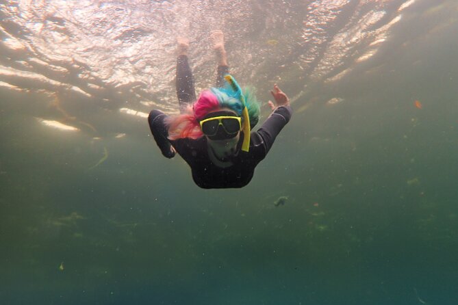 All-Inclusive Small Group Manatee Swim with Free Photos - Kings Bay manatee swims feel personal when the group stays tiny