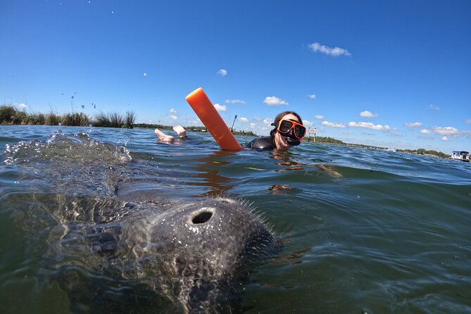 All-Inclusive Small Group Manatee Swim with Free Photos - The boat ride through King’s Bay: how the hunt gets managed