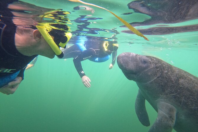 All-Inclusive Small Group Manatee Swim with Free Photos - What you should bring (so the tour feels smooth)