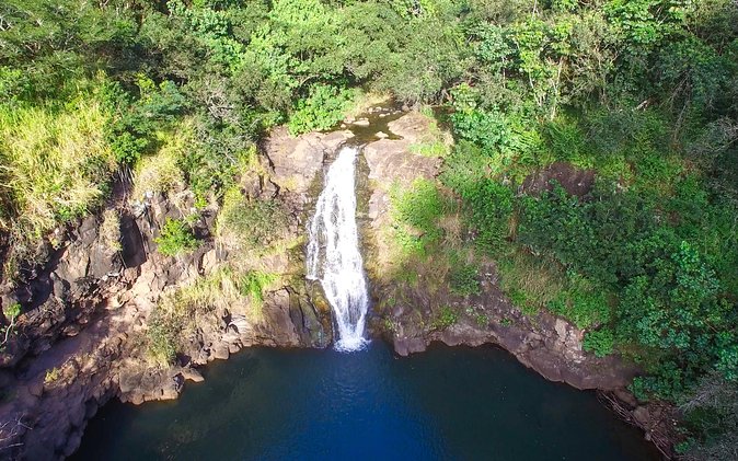 All Inclusive Ultimate Circle Island Tour, Waimea Falls & Lunch - Getting On Board in Waikiki, Then Letting Someone Else Drive