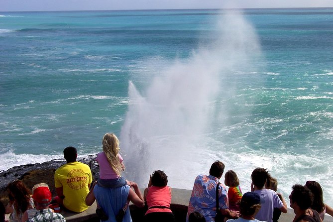 All Inclusive Ultimate Circle Island Tour, Waimea Falls & Lunch - Haleiwa: A Real Break From the Bus