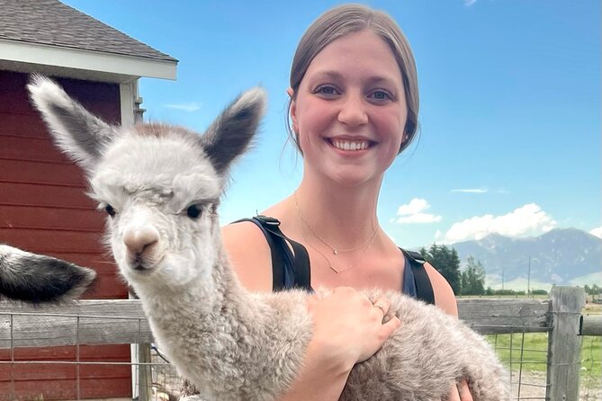Alpaca and Llama Farm Tour - Feeding, Bathing, and Walking Camelids Like You Mean It