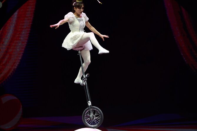 Amazing Acrobats: Grand Shanghai Circus Show in Branson - Price at $48, what comes with your ticket, and what costs extra