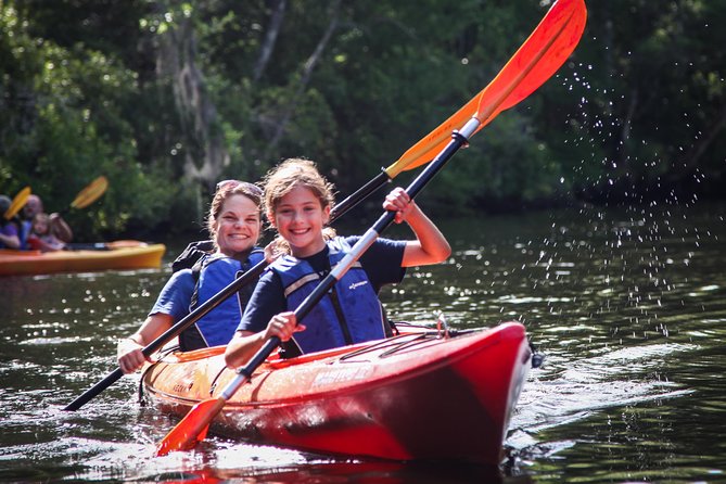 Amelia Island Guided Kayak Tour of Lofton Creek - Key highlights to know before you go