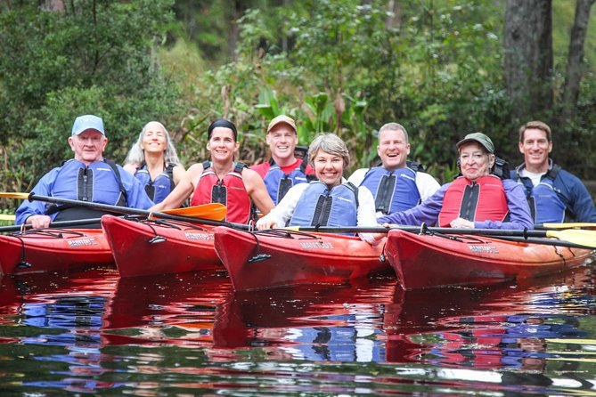 Amelia Island Guided Kayak Tour of Lofton Creek - Wildlife Moments: Alligators, Turtles, Birds, and the Fun Reality